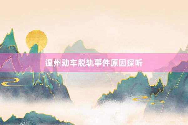 温州动车脱轨事件原因探听