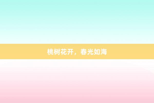 桃树花开，春光如海
