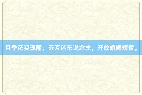月季花姿瑰丽，芬芳迷东说念主，开放娇媚短暂。