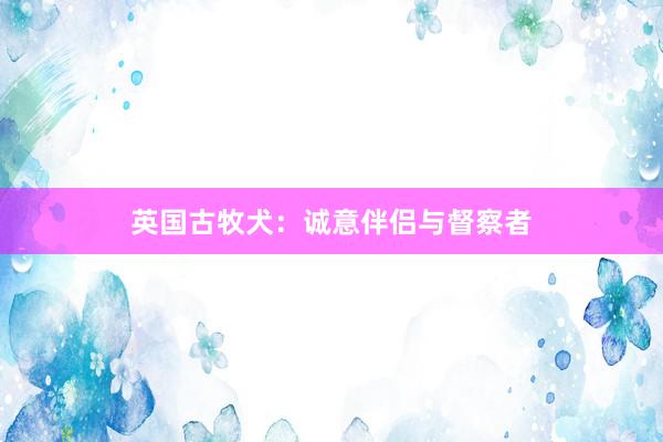 英国古牧犬：诚意伴侣与督察者