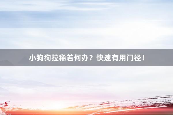 小狗狗拉稀若何办？快速有用门径！