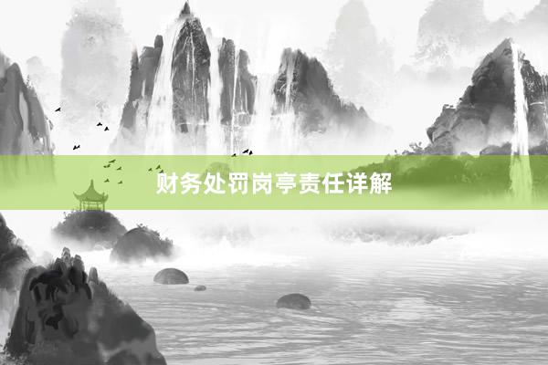财务处罚岗亭责任详解